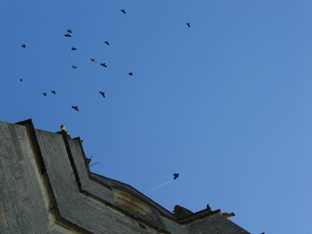 Cieux du Perche Cieux du Perche