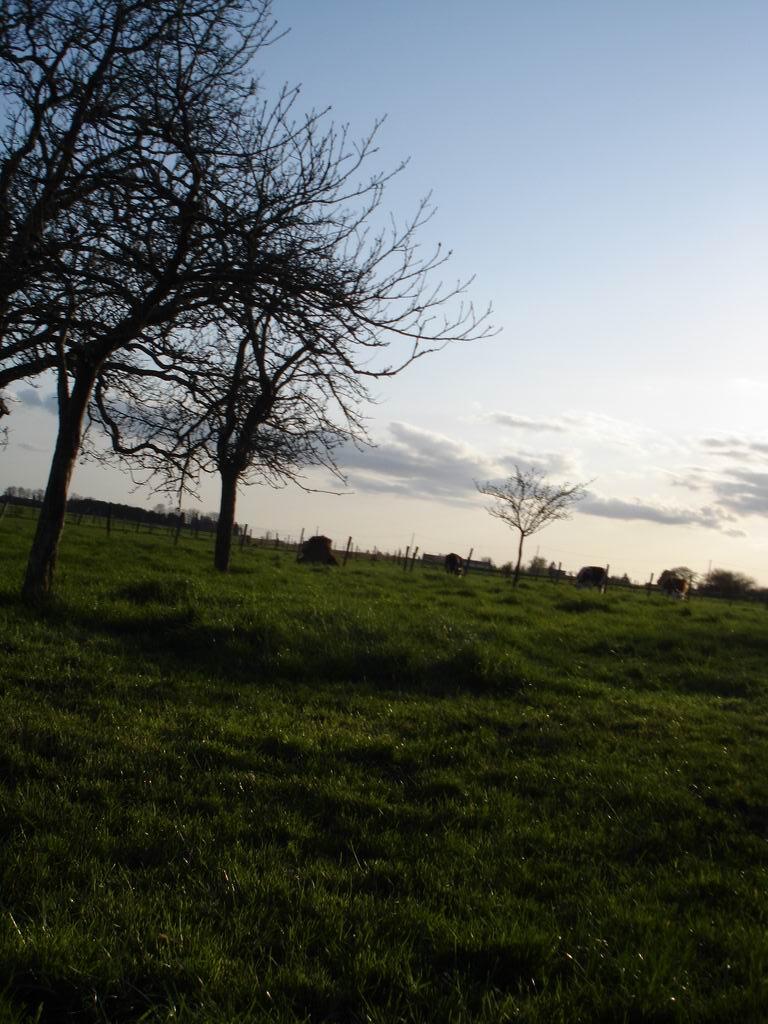 Cieux du Perche Cieux du Perche