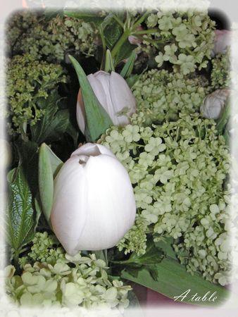 Le printemps est arrivé...la belle saison... le_printemps_est_arriv__011_modifi__1