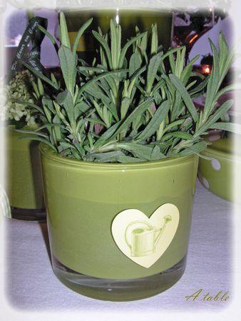 Le printemps est arrivé...la belle saison... le_printemps_est_arriv__015_modifi__1