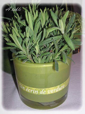 Le printemps est arrivé...la belle saison... le_printemps_est_arriv__023_modifi__1