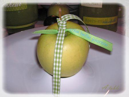 Le printemps est arrivé...la belle saison... le_printemps_est_arriv__002_modifi__1