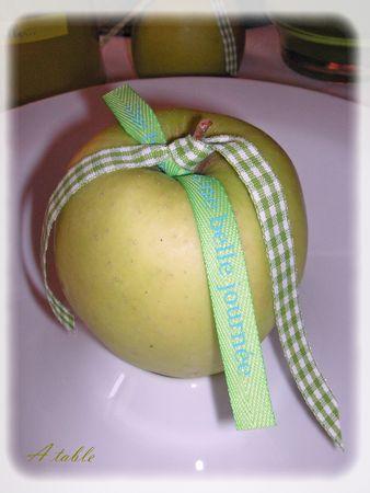 Le printemps est arrivé...la belle saison... le_printemps_est_arriv__057_modifi__1