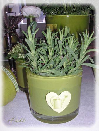 Le printemps est arrivé...la belle saison... le_printemps_est_arriv__007_modifi__1