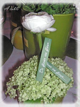 Le printemps est arrivé...la belle saison... le_printemps_est_arriv__008_modifi__1