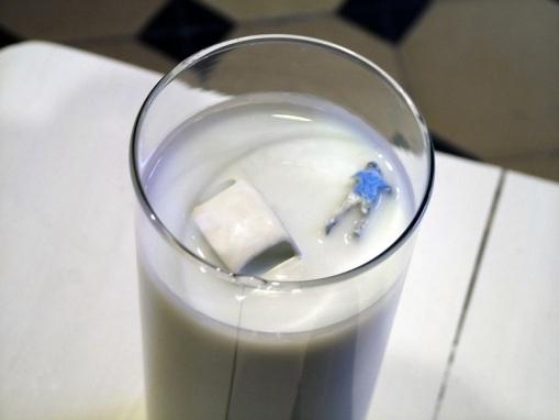 Hasta-las-Narcices-9 L’art de couler les éléments…