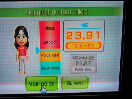 avec wii fit + 102_9027
