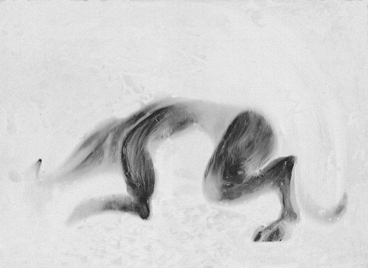 Il est passé par ici... chiens loups terre 2 de gau n contrasté b