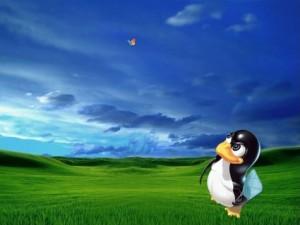 Troll de magnitude 8 sur l’échelle de Riester : Microsoft contribue au noyau Linux