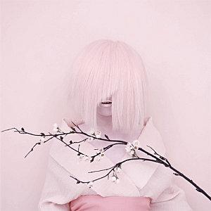 Ca sent le Printemps! sakura1