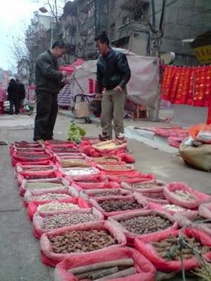 Carnets, 13 février: La Chine passe le Nouvel an (Kaili-Chong'an-Xinzhai)
