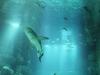 cine-aqua-(2)