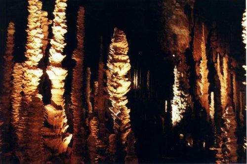 Aven Armand, forêt de pierres. Merveille façonnée par l'eau.