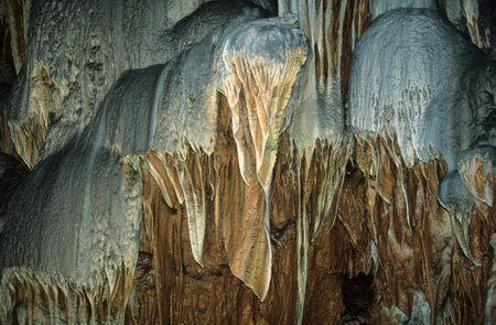 Aven Armand, forêt de pierres. Merveille façonnée par l'eau.