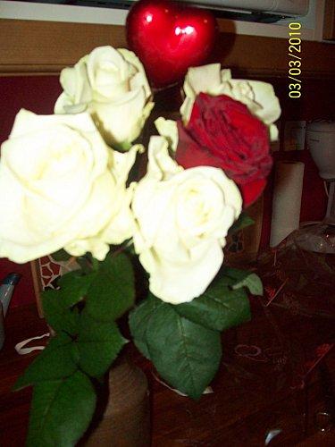 gâteau jardinière 036