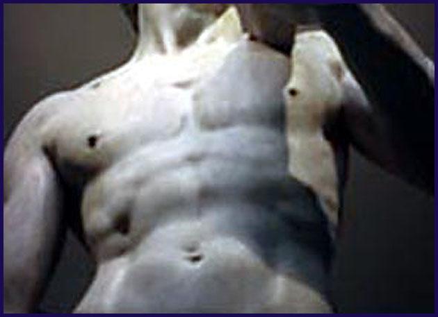 Maître et esclave chez Nietzsche michelange-david-torse.1266406068.jpg