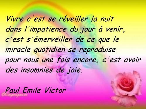 VIVRE 12548