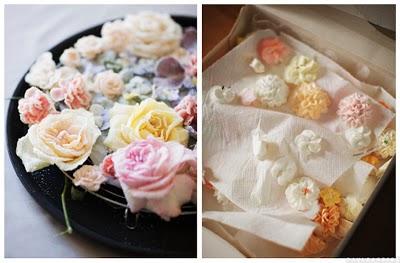 Paul Barbera Paul Barbera