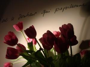 C'est le bonheur qui papillonne - Sticker DSC09066 300x225 Good news et nouveau régime chocolat