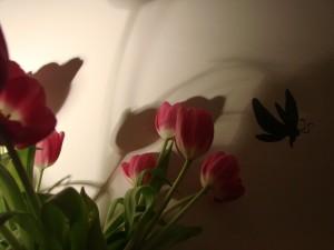 papillon qui vole DSC09067 300x225 Good news et nouveau régime chocolat