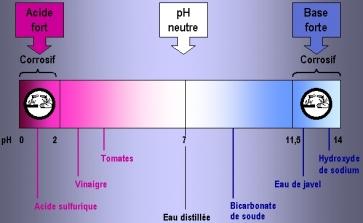 pH comparés