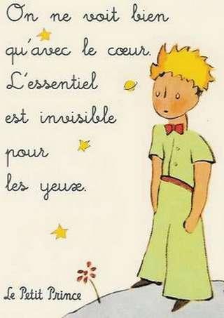 LA GENTILLESSE petitprince