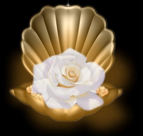 LA GENTILLESSE 459812