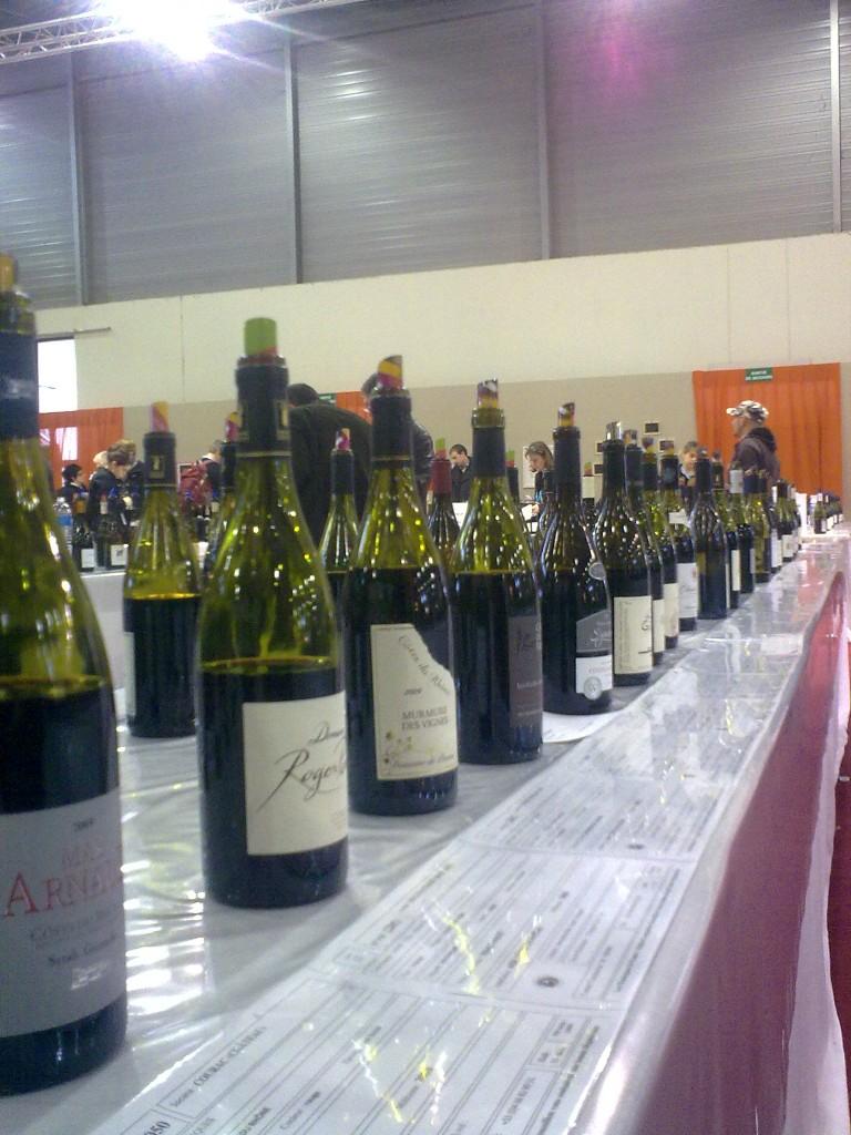 22022010955 22022010955 768x1024 actualite Bilan de Vinisud 2010, dégustations et découvertes au palais méditerranéen !