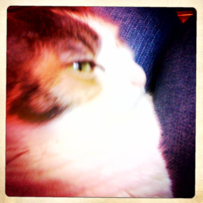 Hipstamatic moi !! http://img168.imageshack.us/img168/8021/hipstamatic.jpg