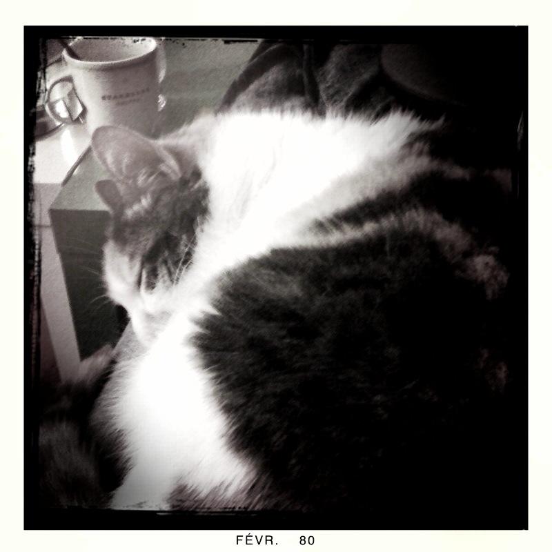 Hipstamatic moi !! http://img15.imageshack.us/img15/6074/hipstamatic2.jpg