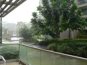 Bien attérris à Paris, comme une plume avec l'AIRBUS A380 P1140048