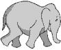 elephants-41.gif