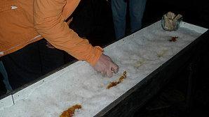 BM le retour...... P1000949.JPG