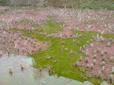 Carnets, 15 février (1/3): Xijiang, le village des mille lumières Carnets, 15 février (1/3): Xijiang, le village des mille lumières