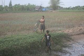 Assèchement de la rizière et pêche