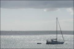 Pensée bretonne pensee_bretonne.jpg