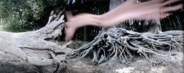 Les vacances naturistes de L'homme élastique, M. Fantastique