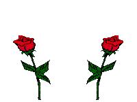 Bientot le temps des barbecues,.News Audrey.et Prix Oranie. fleur.