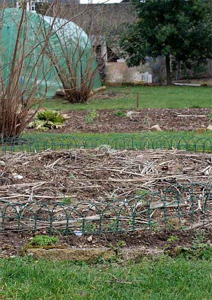 Dans la fraicheur tenace le potager dort la grasse-matinée* potager