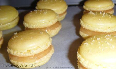 Macarons au citron DSCF4037