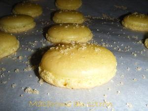 Macarons au citron DSCF4011