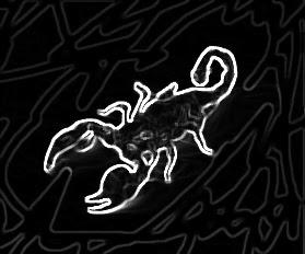 CAVE CANEM ! ((v.d)) CAVE CANEM ! ((v.d))