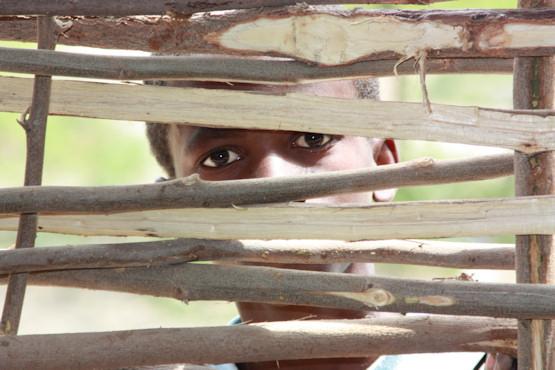 Les rapatriements des enfant Haïtiens reprennent !
