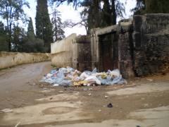 Cimetières à l'abandon Cimetière israélite.JPG