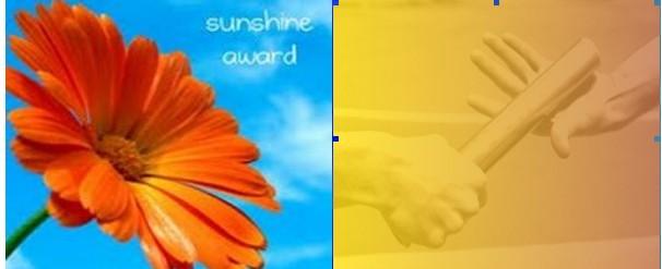 Sunshine award - Passage de relais -handover - Entrega relais.1267811412.jpg