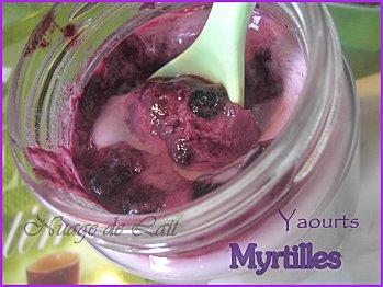 Yaourts maison aux Myrtilles 6666D 016
