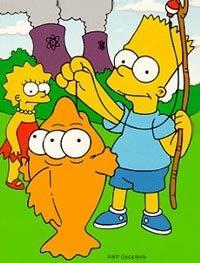 20 ans de Science Simpson