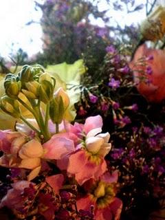 COOKIES aux SMARTIES COOKIES aux SMARTIES