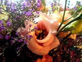 COOKIES aux SMARTIES COOKIES aux SMARTIES