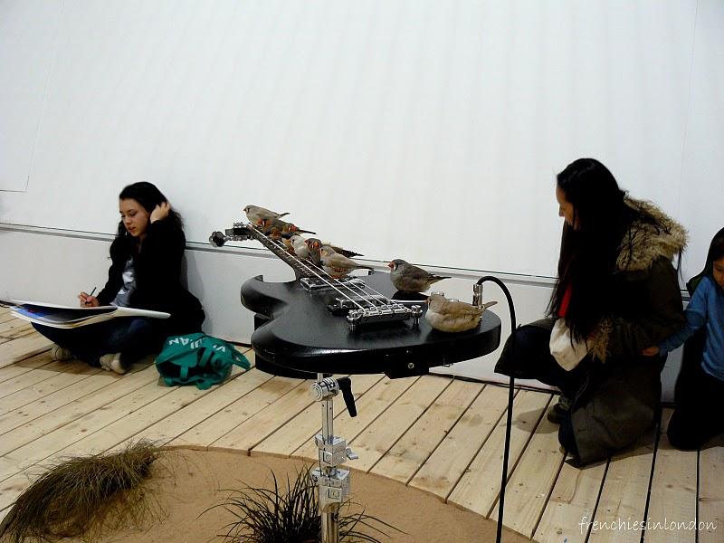 l'expo ou des oiseaux jouaient de la guitare l'expo ou des oiseaux jouaient de la guitare